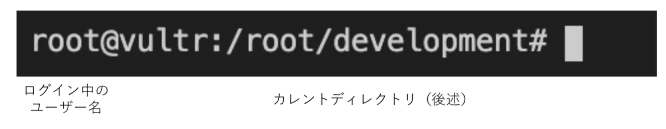 ターミナルの見方
